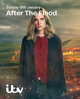 洪水之后 第二季